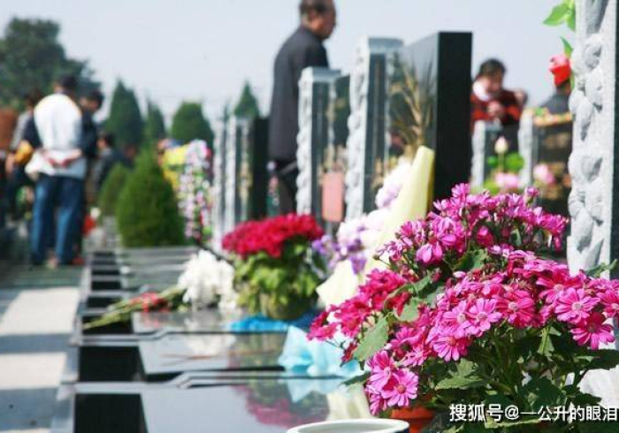 祭扫新章,当清明假期遇上时代之变 祭扫新章,当清明假期遇上时代之变